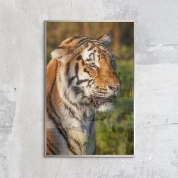 아트박스/꾸밈 cq507-고양이과동물들_중형메탈액자