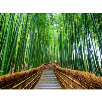 [김포출발][오사카 자유 3일] 베스트 웨스턴 호텔 피노 오사카 신사이바시급 [트윈룸/조식불포함]