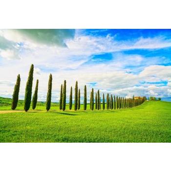 [토스카나PLUS] 서유럽 3국 11일 아시아나직항+융프라우+루체른베른+발도르차 OPEU24000030