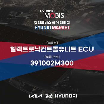 일렉트로닉컨트롤유니트 ECU (391002M300) 현대모비스부품몰