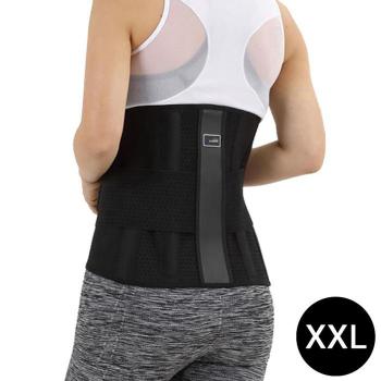 GOON 의료보호용품 허리 보호대 12in (GS-24) (XXL) (S11354243)