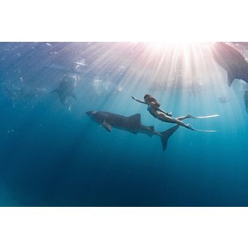 세부 5일 차박상품 샹그릴라 리조트 디럭스룸2박 오슬롭 고래상어체험다이빙 가와산캐녀닝 트래블케어 전신마사지2시간 특식3회 SM몰