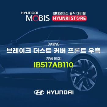 브레이크 더스트 커버 프론트 우측 (IB517AB110)