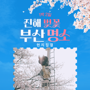 진해 벚꽃·부산 명소 탐방 여행 (현지집결)