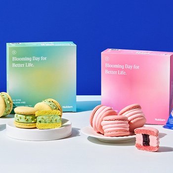 널담 뚱카롱 봄마카롱 벚꽃에디션 16구 (체리블라썸/피스타치오)