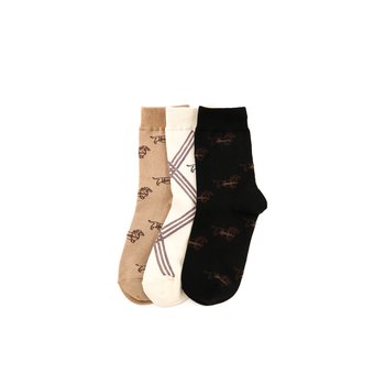 [25FW] 베이지 닥스훈트 자카드 면혼방 중목 양말 3종 세트 DLSS5D904MU