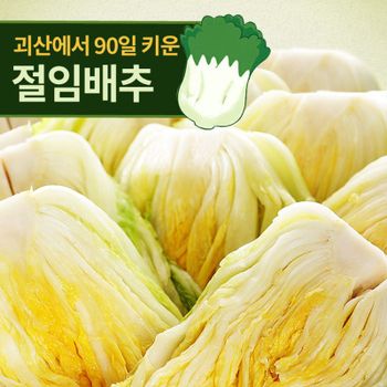 [예약배송] 90일자란 괴산 절임배추 20kg[36214678]
