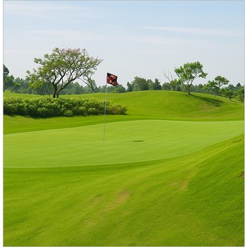 베트남 호치민 골프투어 패키지 3박5일(54홀 3색)