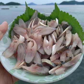 국내산 횟감용 손질 전어 세꼬시 500g 4-9미