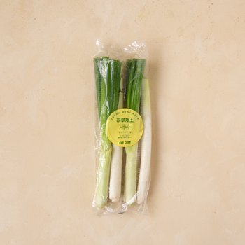 소소한 하루 대파