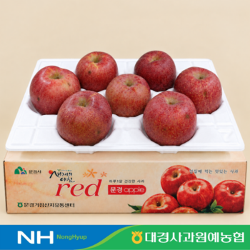 문경 감홍 가정용 사과 3kg 6-10과 대과
