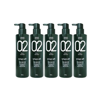 [amos] 아모스 녹차실감 샴푸 500g 5개 리바이탈 라이징 두피 모발 케어