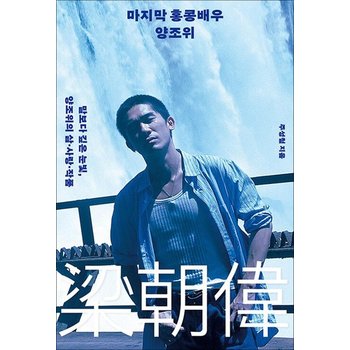 [큰글자도서] 마지막 홍콩배우 양조위 - 말보다 깊은 눈빛 양조위의 삶 사랑 작품