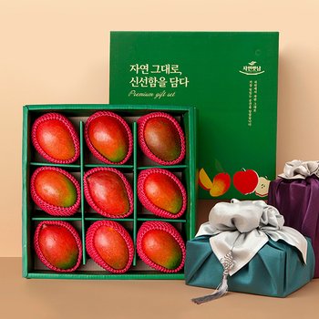 [9/14 순차출고][보자기동봉] 정성 (애플망고 9수) 과일 선물세트[SSG상품권 증정이벤트]