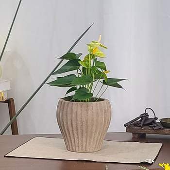 테라원 빈티지 아쿠아 토분 HN30412 13x16cm 엘도르