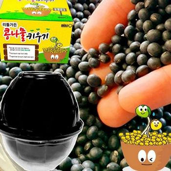 쉬운 QJZA7211 콩나물 키우기 수경재배 가정용 콩나물 키트 재배기 아이들 실내