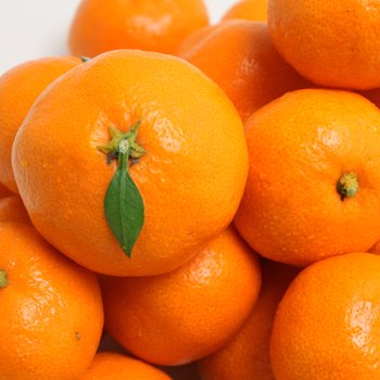 구성농협 [부성훈님 생산] 제주 노지 감귤 3kg (2S/L 랜덤)