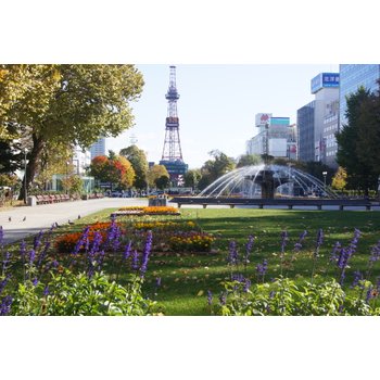[단독패키지] 홋카이도 4일 우리끼리 프라이빗 여행 최대 규모 노천 온천 미도리노카제 쇼게츠그랜드 온천힐링 사케페어링+대게가이세키 와이너리시음 감성오타루