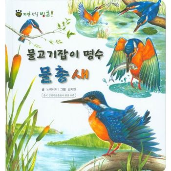 물고기잡이 명수 물총새