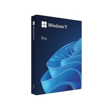 Microsoft Windows 11 Pro (처음사용자용 한글)