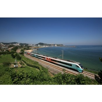 KTX/무궁화- 정동진 겨울바다 & 동해산타열차 & 태백산 눈꽃축제 기차여행(당일)