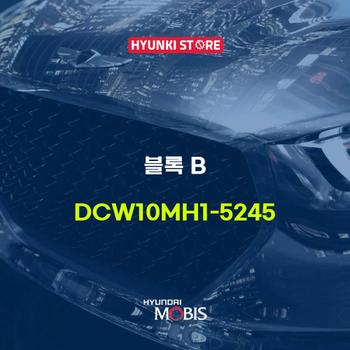 블록 B (DCW10MH1-5245)