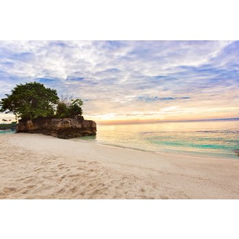 [청주출발][스마트 초이스] 세부 5일 샹그릴라리조트 디럭스룸 아일랜드호핑투어 망고1KG 시내관광