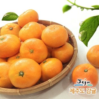 [올찬] 제주 하우스감귤 10kg 5-7번과 (81-120과 내외) 중과