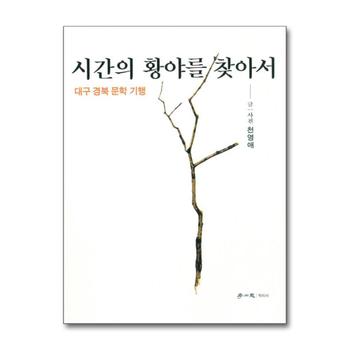 시간의 황야를 찾아서 - 대구 경북 문학 기행
