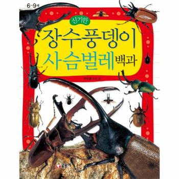 신기한 장수풍뎅이 사슴 벌레 백과(어린이과학백과)-1