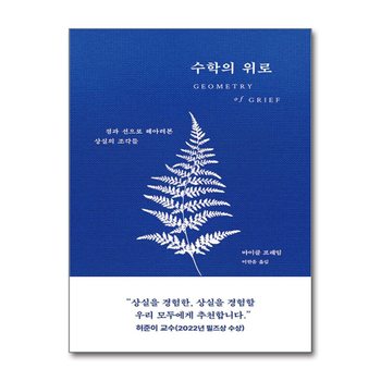 수학의 위로 - 점과 선으로 헤아려본 상실의 조각들