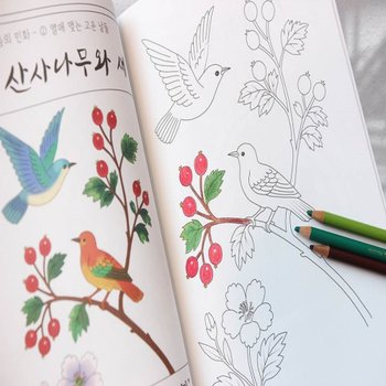 민화 그리기 성인 취미 미술 색칠 도안 놀이 하기 어르신 공부 시니어 프로그램 인지 BB0366