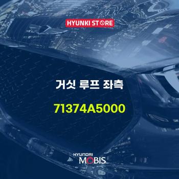 현대모비스거싯 루프 좌측 (71374A5000)