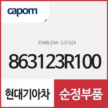 3.0 GDI 글자 엠블럼 (863123R100) K7