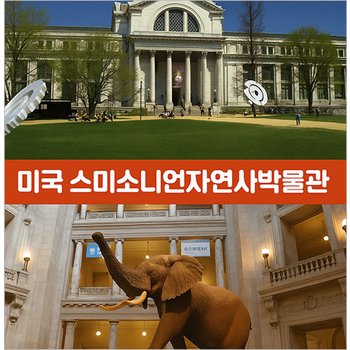 온라인 과학원정대: 집에서 즐기는 해외 박물관