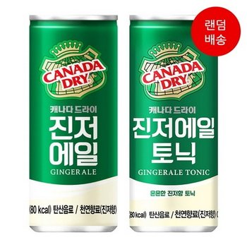 캐나다드라이 진저에일 250ml 30캔 탕비실 간식