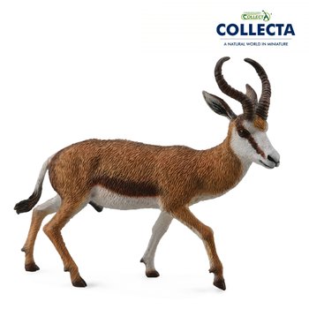 컬렉타 스프링복