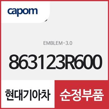 3.0 글자 엠블럼 (863123R600) K7