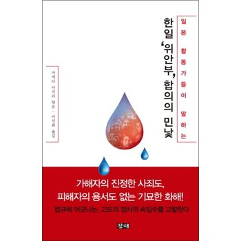 한일 위안부 합의의 민낯 (일본 활동가들이 말하는)