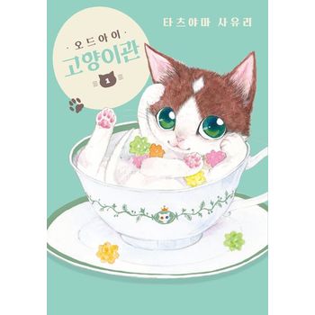 오드아이 고양이관 1
