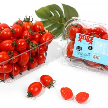 스테비아 방울토마토 자몽향 500g 1팩