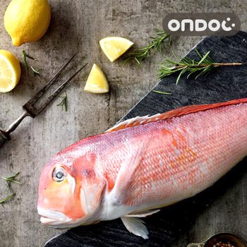 [오늘출발] [온도씨]제주 손질 옥돔 1.3kg (대/6마리/마리당220g내외)