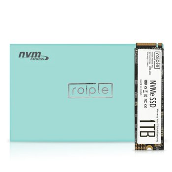 디오테라 ROIPLE Ray M.2 2280 NVMe SSD (1TB)