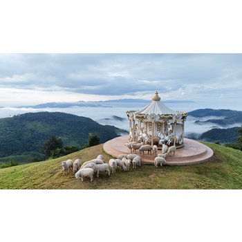 [핫플마스터] 치앙마이/치앙라이 6일 태국북부하이라이트 아카팜뷰 감성가득 째즈바+까페 체험 맛집탐방 반나절 자유일정