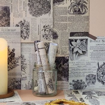 빈티지종이 감성문구 촬영배경 초목 (KYR-WFHVHHK)