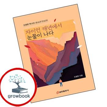 자이언 캐년에서 눈물이 나다 자이언캐년에서눈물이나다 책