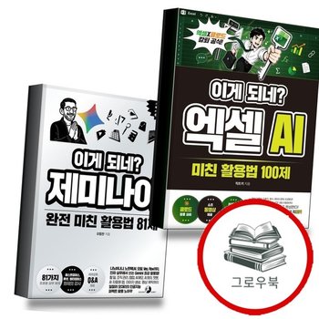 이게되네엑셀AI미친활용법100제 + 제미나이완전81제 (전2권) 세트 추천도서