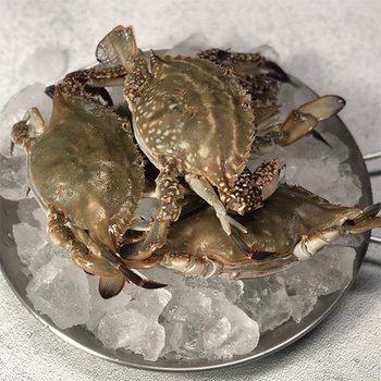 [산지직송] 국내산 제철 활 암꽃게 3kg 9-15미