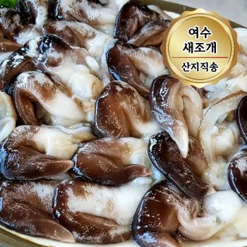 당일조업 여수 손질 새조개 특품 500g 빙장포장