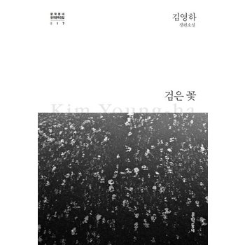 문학동네 검은꽃 - 김영하 장편소설 개정판